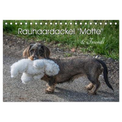 Rauhaardackel Motte & Friends (Tischkalender 2026 DIN A5 quer), CALVENDO Monatskalender