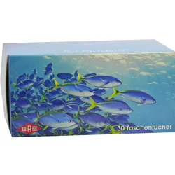 Taschentuchbox 30Er 1 ST