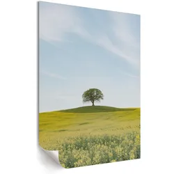 POSTER - 21x29 cm - digitalPhoto - Einsamer Baum
