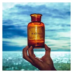 kscope, Schallplatten, Blackfield V (Black Vinyl) (Blackfield)