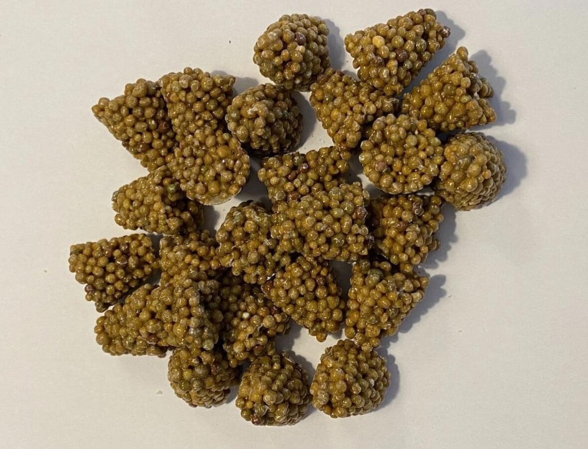 Ferrarium Voedertabletten voor kamerplanten, 35 stuks