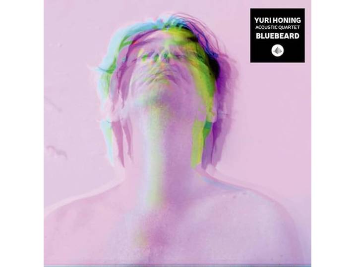 Yuri Honing Acoustic Quartet - Bluebeard