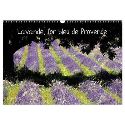 Lavande, l'or bleu de Provence (Calendrier mural 2026 DIN A3 vertical), CALVENDO calendrier mensuel