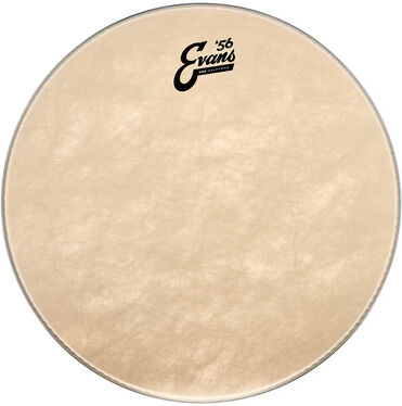 "Evans 16"" EQ4 Calftone Bass / Tom "