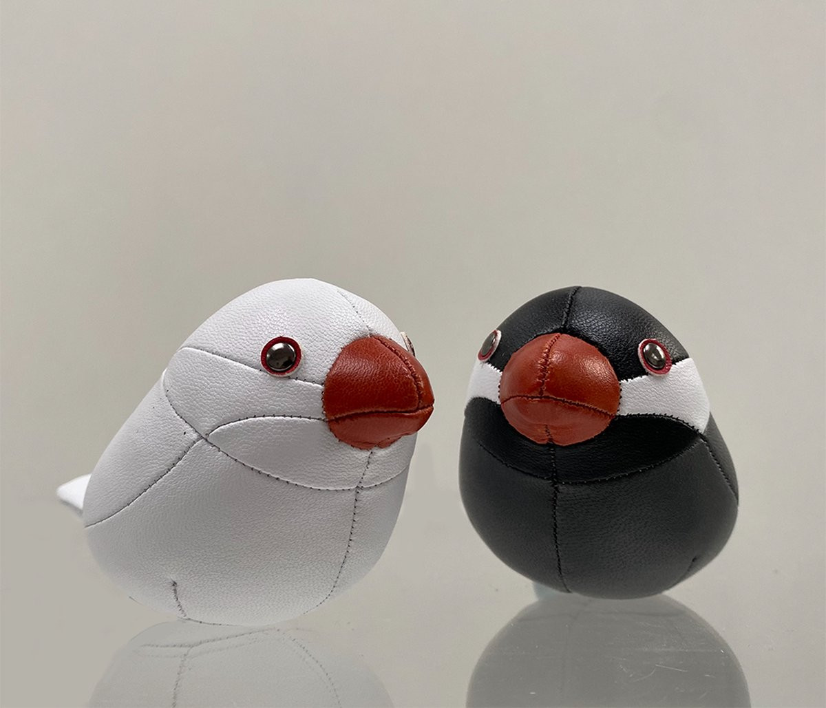 Zuny Java Sparrows Rijstvogeltjes-Set voor volwassenen