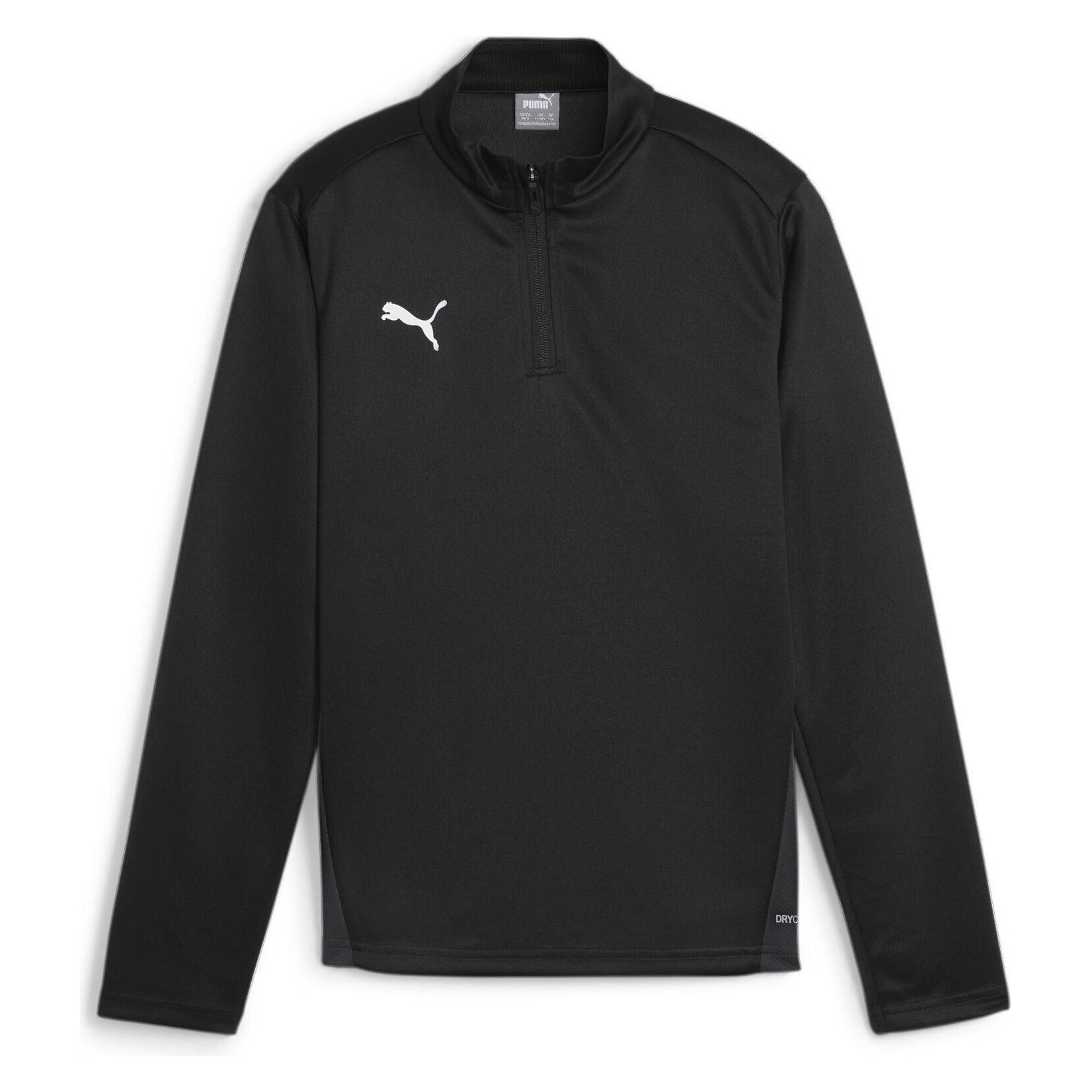 Puma TeamGoal (110) (658632-03)