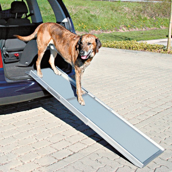 TRIXIEHEIMTIERBEDARF Teleskop-Rampe, 43 100 180 cm, 5,8 kg, grau 08718609