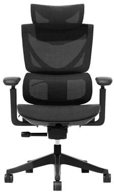toswini Mesh High Back Office Chair with Lumbar Support and Button Tilt Controls