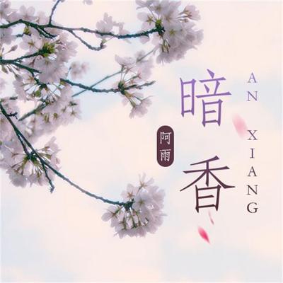 暗香 - 阿雨, Audio, 4069828015135