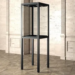 Vitrine Museum Hochbein schwarz 60 x 200 x 60 cm
