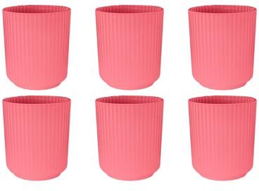 Abode Homewares Mesa PP Drinking Glass - Set of 6