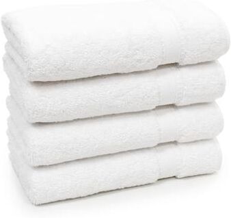 Authentic Hotel and Spa Authentic Hotel Spa Turkish Cotton Hand Towels (Set of 4)