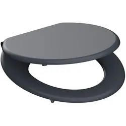 WC-Sitz Spirit Holz Grau Anthrazit