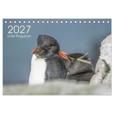 Unter Pinguinen (Tischkalender 2027 DIN A5 quer), CALVENDO Monatskalender
