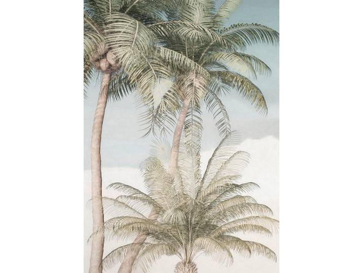 FOTOTAPETE PALM OASIS