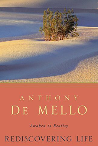 Anthony De Mello - Rediscovering Life: Awaken to Reality - Preis vom 17.10.2026 19:25:27 h