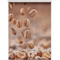 Lichtblick Rollo Klemmfix, ohne Bohren, blickdicht, Kaffee - Braun