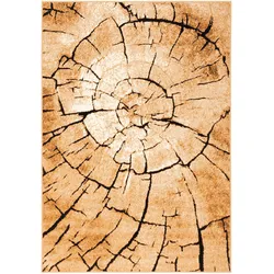 Pergamon, Teppich, Designer Teppich Samba Modern Nature (80 x 150 cm)