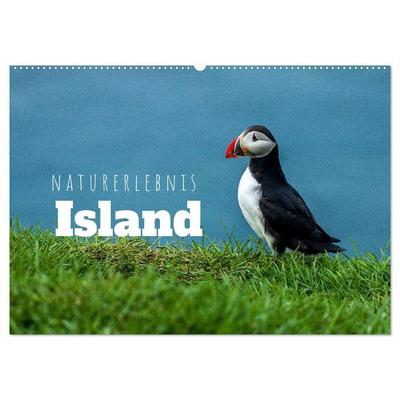 Naturerlebnis Island (Wandkalender 2026 DIN A2 quer), CALVENDO Monatskalender