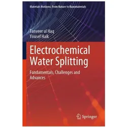 Electrochemical Water Splitting, Fachbücher von Tanveer ul Haq, Yousef Haik
