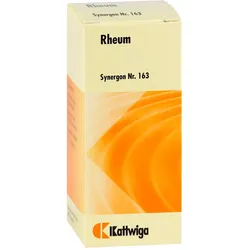 SYNERGON KOMPLEX 163 Rheum Tropfen