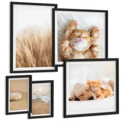 BILDER SET 5er Set - 50x50 cm & 20x30 cm & 40x60 cm Schwarzer Rahmen - Niedliche Tiere, Katzen, Hunde, Strand