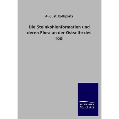 Die Steinkohlenformation und deren Flora an der Ostseite des Tödi, Taschenbuch von August Rothpletz, Salzwasser, 978-3-8460-4503-9