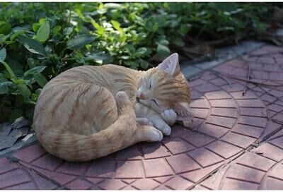 Hi-Line Gift Ltd. Orange Tabby Cat Sleeping Lying Down