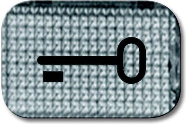 Busch-Jaeger Symbole de bouton-poussoir clé 2145 TR (2CKA001714A0237)