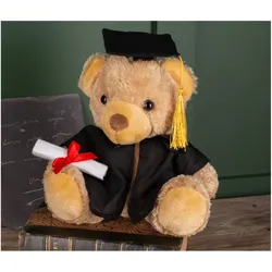 Mumbles Graduation Bear