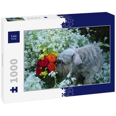 Lais Puzzle Schnauzer 1000 Teile