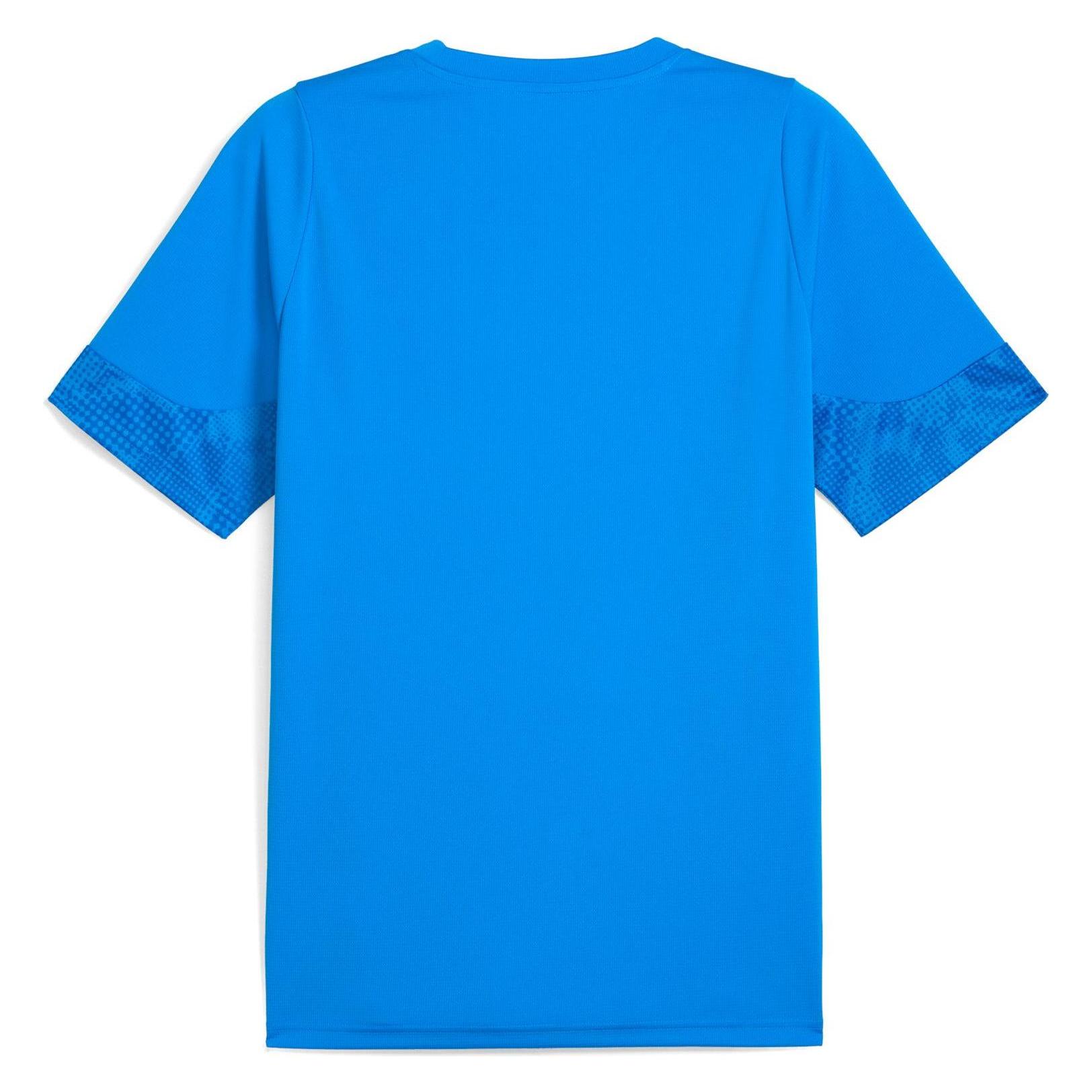 Puma teamCUP Training Jersey (3XL) (659167)