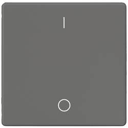 Siemens Schalterprogramm 1fach Carbon 5TG6222 1 St.