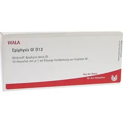 EPIPHYSIS GL D 12 Ampullen 10X1 ml