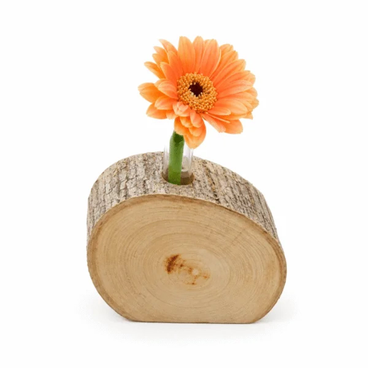Merkloze houten tafelvaas voor droogbloemen, natuurlijke decoratie, klein