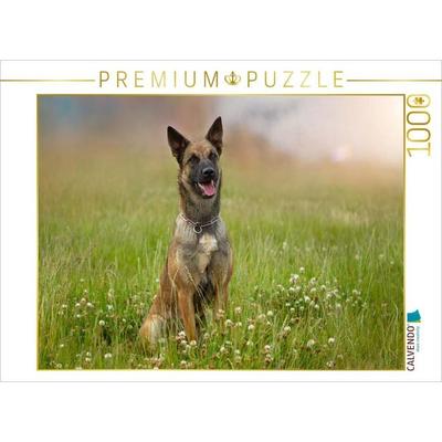 CALVENDO Puzzle Ein Motiv aus dem Kalender Traumhund Malinois | 1000 Teile Lege-Größe 64x48cm Foto-Puzzle für glückliche Stunden