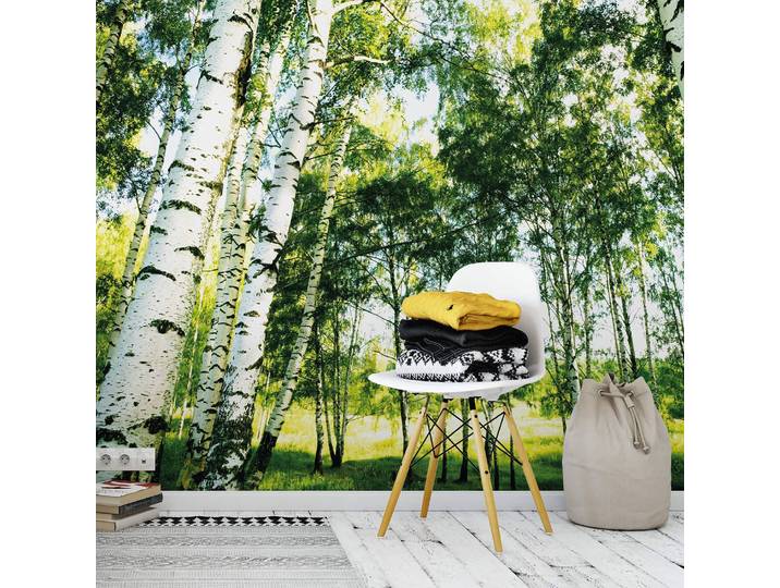 Papier peint Forêt de bouleaux I 3 x 2cm