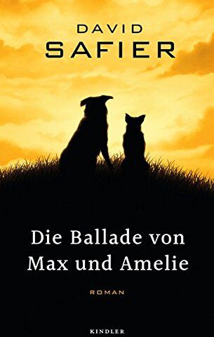 David Safier - Die Ballade von Max und Amelie - Preis vom 01.10.2026 17:08:56 h