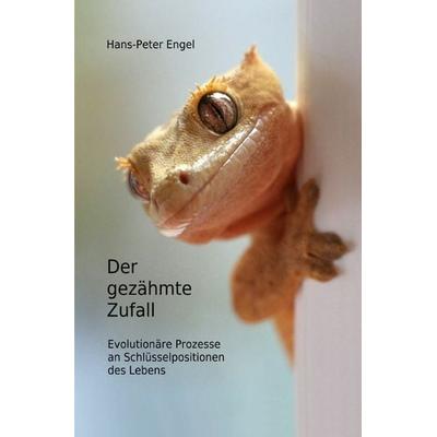 Der gezähmte Zufall, Taschenbuch von Hans-Peter Engel, Epubli, 978-3-565-39785-3