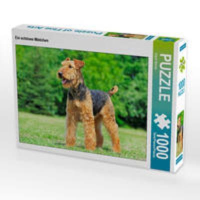 CALVENDO Puzzle Ein schönes Mädchen 1000 Teile Lege-Größe 64 x 48 cm Foto-Puzzle Bild von Sigrid Starick