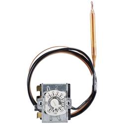 Jumo 60003224 2-Punkt-Regler Temperaturwächter 230 °C (max.) Relais 16 A