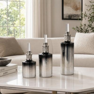 "Sagebrook Home 10/13/17H"" Talis Glass Bottles, Set of 3"