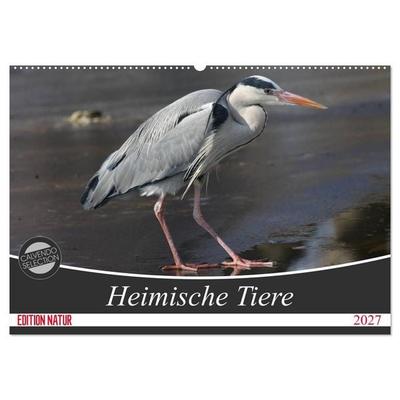 Heimische Tiere (Wandkalender 2027 DIN A2 quer), CALVENDO Monatskalender