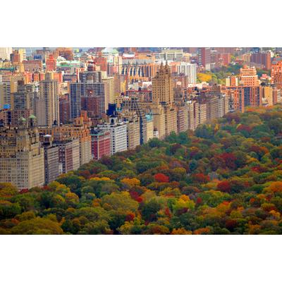 Fototapete PAPERMOON "Central Park", bunt, B:3m L:2,23m, Vlies, Tapeten