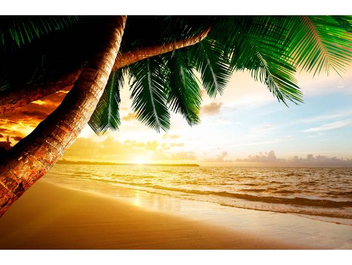 Fototapete PAPERMOON Caribbean Beach Sunrise , bunt, B:3m L:2,23m, Vlies, Tapeten, Fototapete