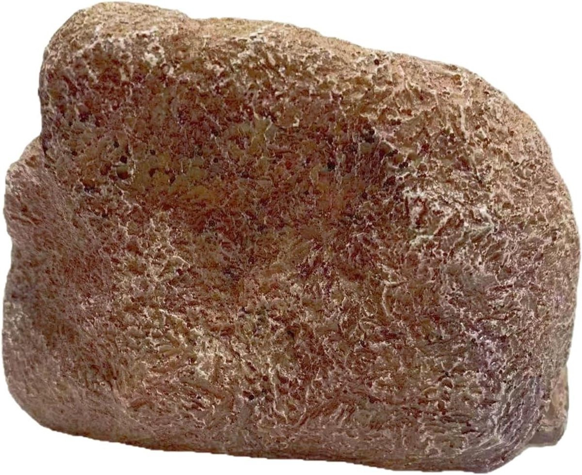 Nepsteen Sleutelhouder Grijs - Waterdichte Verborgen Buitenopslag - B/D/H: 10,5 x 8 x 7,5 cm