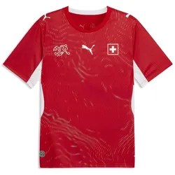 Puma, Herren, Fussballtrikot, SFV Home (3XL), Rot
