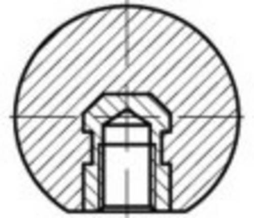 TOOLCRAFT Kugelknöpfe Kunststoff TO-5447604 10St.