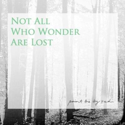 Not All Who Wonder Are Lost - Paint the Sky Red, CD