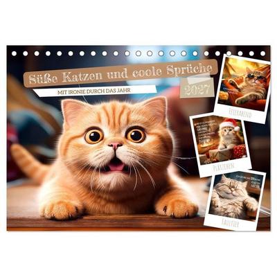 Süße Katzen und coole Sprüche (Tischkalender 2027 DIN A5 quer), CALVENDO Monatskalender